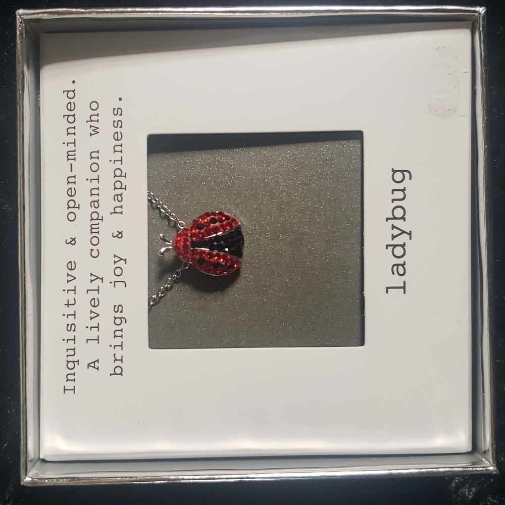 🐞 Necklace - Picture 4 of 4